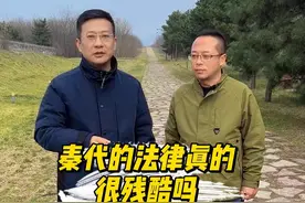 #历史 秦国的法律真的像传说中的那么残酷吗？#秦始皇陵视频封面
