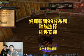 纯萌新法师到99分系列之种族选择及实用插件安装 #魔兽世界视频封面
