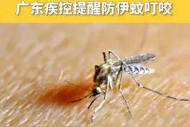 一周新增登革热1770例！广东疾控提醒防伊蚊叮咬视频封面