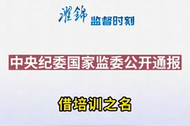 中央纪委国家监委公开通报借培训之名组织公款旅游典型问题#濯锦监督时刻视频封面