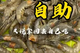 这烤肉自助餐生蚝壳子太开眼了 生蚝肉咋跟壳不连一起呢？#自助餐 #自助烤肉 #海鲜自助 #灰鸽子美食排雷 #自助餐套路能有多离谱