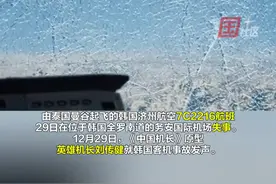 12月29日，《中国机长》原型英雄机长刘传健就韩国客机事故发声:作为一名飞行员，严格的训练必不可少。视频封面
