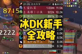 冰DK叮号天赋配装全攻略 #魔兽世界怀旧服 #冰DK攻略视频封面