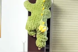 萌娃展示超强徒手攀爬能力，边爬边喊“努力 加油” 视频封面