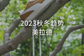 2023秋冬趋势 美拉德 #美拉德穿搭 #puma #pumaClyde #maxmara视频封面