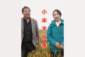 陕北小米大丰收，米香四溢满山坡！快来品尝来自家乡的美味吧！视频封面