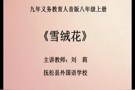 人音版初中音乐八上《演奏《雪绒花》（片段）》-刘老师全国一等视频封面