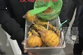 11月28日（原创采访）上海一学校食品安全问题遭家长质疑，每月1400元伙食费，食堂大米生虫、调料发霉、馒头过期，当地市场监管局：已经知晓此事，正在调查处理中。（记者 周野）视频封面