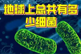 独占地球30亿年，人体内超过1000万亿个，微生物才是主人公视频封面