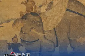 #云南人出门骑大象？！小编有图有真“象”#云南#大象#三跺脚视频封面