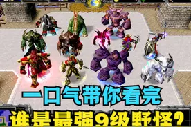 《魔兽争霸3》，一口气带你看完，谁是最强9级野怪？ #魔兽争霸3视频封面