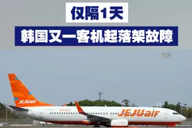 【仅隔1天 韩国又一客机起落架故障】12月30日，韩国济州航空一架客机因起落架故障，在起飞后不久折返，最终成功降落。涉事客机机型为波音737-800，与此前一天济州航空事故客机为同一机型。视频封面