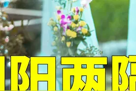 易文君一生究竟负了多少人？ #少年白马醉春风 #叶鼎之 #少年歌行 #无心视频封面