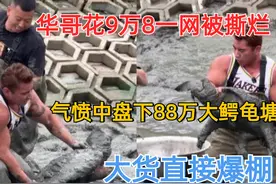 华哥9万8一网被撕烂，气愤中盘下88万大鳄龟塘，大货直接爆棚视频封面