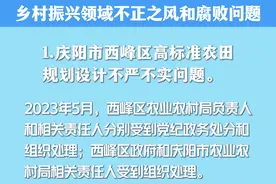 甘肃省纪委监委通报5起乡村振兴领域不正之风和腐败问题 #通报 #权威发布视频封面