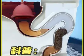 如果你家的马桶意外堵塞，此时该如何疏通？ #抖音知识年终大赏    #内容启发搜索视频封面