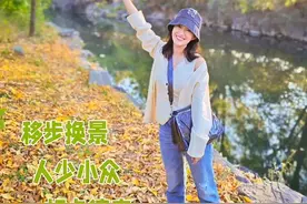 【#搭地铁逛北京  ｜西苑站外，两处小众赏秋地迎最美秋色】地铁4号线、16号线西苑站外，两处小众赏秋地迎最美秋色——“一亩园”景区紫色花海饱和度拉满、清新浪漫，邀你徜徉于花海；圆明园万方安和景区，可打卡“湖畔神树”，观赏锦鲤争食、天鹅嬉戏，九州景区邂逅秋染林间。视频封面