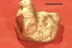 广东仔精明，巴郎子贼溜，逆天反转后，终是缉私队承担了一切 #陕普解说视频封面
