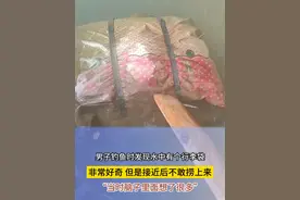 男子钓鱼时发现水中有个行李袋，非常好奇，但是接近后不敢捞上来
“但是脑子里面想了很多”视频封面