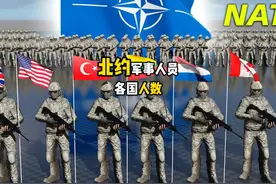 你知道北约各国军事人员有多少人吗 #北约视频封面