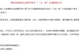 四川三支一扶公告发布，广元招录132人 三支一扶备考时间不多了视频封面