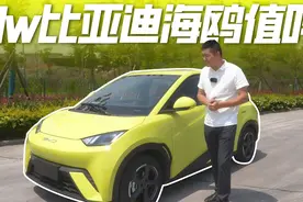 7万买最便宜的比亚迪电动车，海鸥到底值不值？视频封面