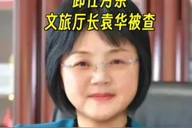 卸任月余，#文旅厅长袁华被查 ！#袁华视频封面