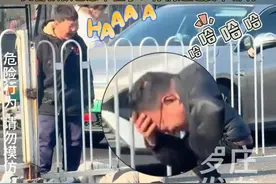 小孩哥过马路走栏杆底下被卡住，爸爸站在旁边看着扶额大笑，交警叔叔也憋不住了：你们这是要干嘛啊#社会百态 #萌娃视频封面