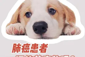 得了肺癌，还可以养宠物吗？ #河南省肿瘤何振 #肺癌患者 #肺癌康复 #硬核健康科普行动 视频封面