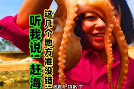 赶海到这几个地方准没错！废弃水坑，排水口还有礁石区的石块下！