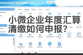 小微企业年度汇算清缴如何申报？一条视频讲清楚~ #会计做账视频封面