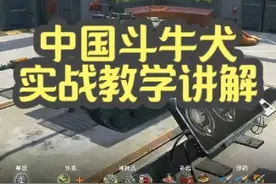 【毛毛WOTB】中国斗牛犬实战教学讲解#坦克世界闪击战视频封面