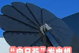 “向日葵”太阳能发电机，一年产出4000度电，它的原理是什么视频封面