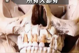 孩子的牙龈里居然还有一副牙齿~~~ #乳牙 #涨知识 #科普一下