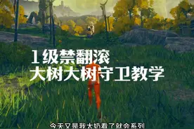 有手就行 1级 禁翻滚/战技/异常 无伤大树守卫教学 #艾尔登法环视频封面