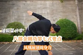 油麻菜分享八部金刚功第七式，凤凰展翅周身力要点及学习心得视频封面