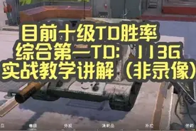【毛毛WOTB】目前十级TD胜率综合第一TD：113G实战教学讲解视频封面