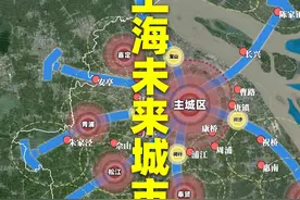 上海未来城市规划：布局五大产业新城，打造全球卓越城市 #上海视频封面