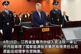 被控受贿1.08亿余元 国家能源集团原副总经理李东受贿案一审开庭 #打虎拍蝇 #审判视频封面