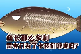鱼长那么多刺，难道是专门为了卡我们喉咙吗？#美食 #冷知识...视频封面