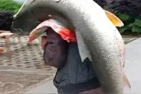 5月7日，湖南怀化，一男子捕获一条超大鱼，用了一个多小时才拉上岸。网友：必须一路扛着回家！视频封面