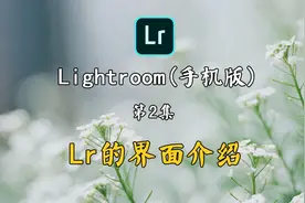 第2集：手机LR界面介绍 #手机修图 #手机调色教程视频封面