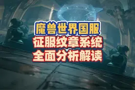 魔兽世界国服征服纹章系统全面分析解读 #魔兽世界视频封面