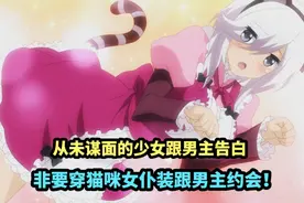 从未谋面的白毛少女对男主告白，还穿猫咪女仆装跟男主约会。视频封面