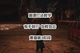 手残版，打黄眉（第3阶段） 最详细教程，简单、无脑、实用视频封面