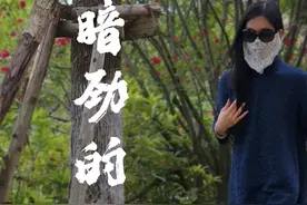 暗劲背后的秘密！ #传统武术视频封面