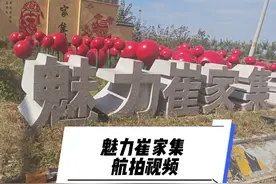 美丽崔家集镇 中国西红柿之乡航拍视频 一镜到底无删减版视频封面