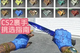 12款CS2裹手手套挑选方法，钴蓝骷髅，警告，套印等等！视频封面