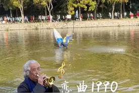 3月27日，湖北荆州。大爷湖边吹奏《恋曲1990》，不料被身后湖中小船抢镜。网友：一时分不清谁才是主角。关注👉@小政视频 #湖北dou知道 #抖音小助手 #吹奏乐器 #主角与配角 #大爷永远是大爷视频封面