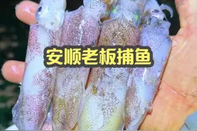 其实在鲁荣渔大屠杀之前，还有更惨烈的闽平渔5540号事件 #人间烟火  #打卡街边美食  #赶海 #出海捕鱼#dou来广东百千万视频封面
